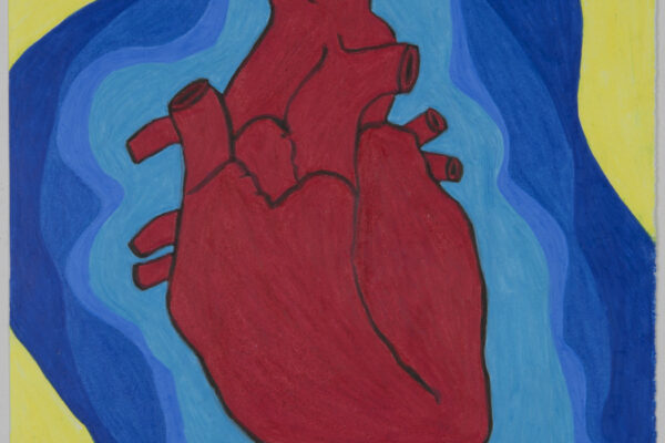 15-Heart in Primaries