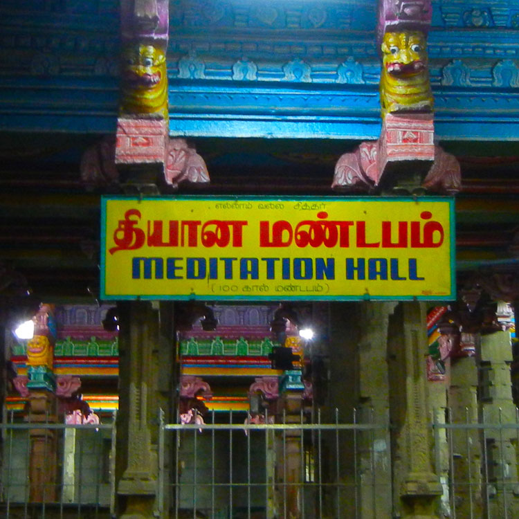 Meenakshi Temple, Madurai, day-glo Meditation