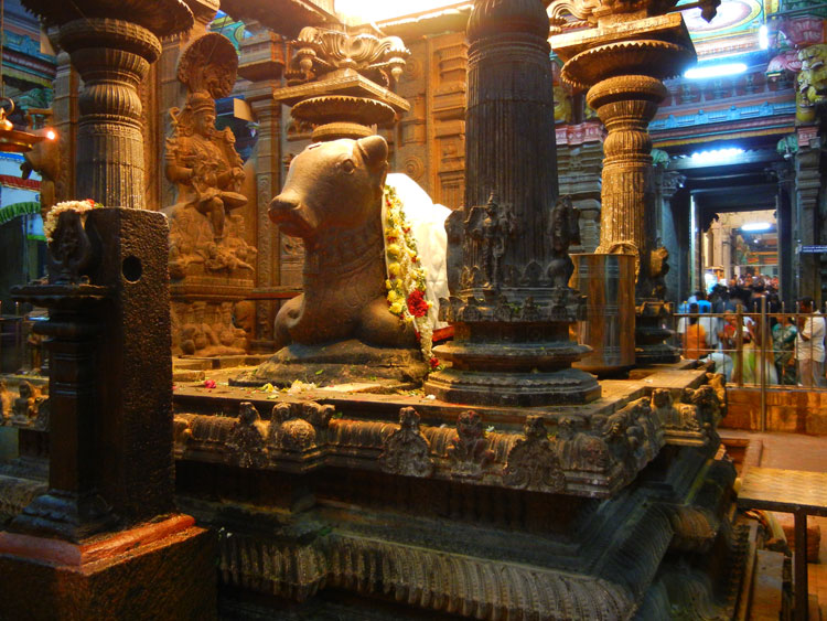 Meenaksi Temple, Madurai, Nandi