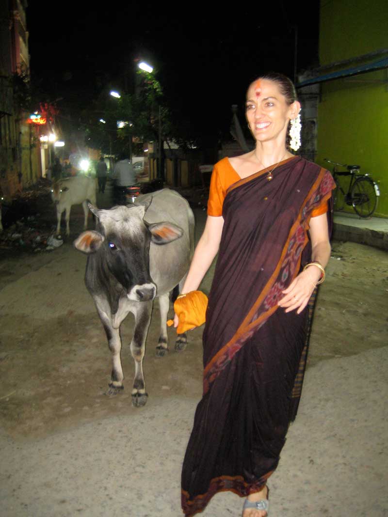 Tiruchendur, followed by a friendly Cow